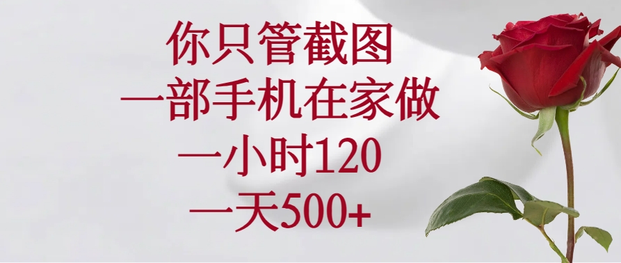 （14248期）你只管截图，一部手机在家做，一小时120，一天500+-超级阿童木