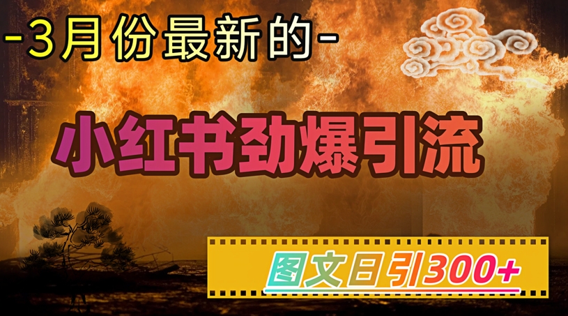 小红书超劲爆引流手段，图文日引300+轻松变现1W-超级阿童木