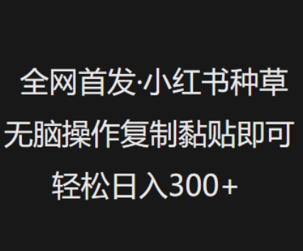 全网首发，小红书种草无脑操作，复制黏贴即可，轻松日入3张-超级阿童木