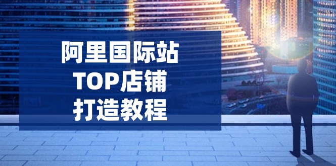 （14269期）阿里国际站TOP店铺打造教程：涵盖平台到高阶，解决运营难题，提升询盘-超级阿童木