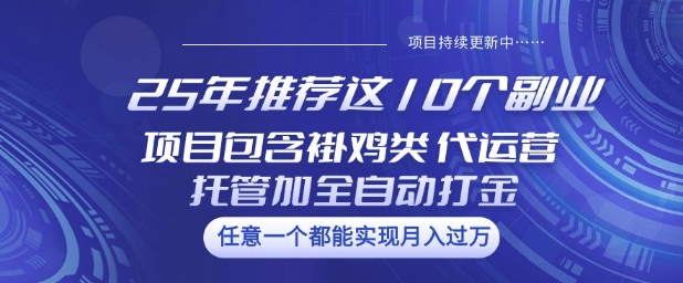 25年推荐这10个副业项目包含褂鸡类、代运营托管类、全自动打金类【揭秘】-超级阿童木