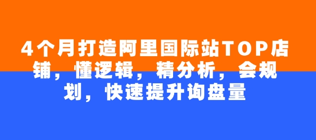 4个月打造阿里国际站TOP店铺，懂逻辑，精分析，会规划，快速提升询盘量-超级阿童木