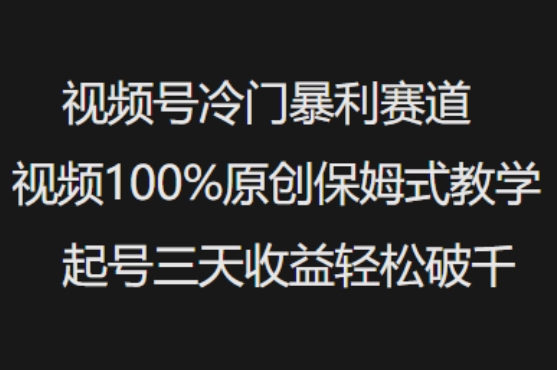 视频号冷门暴利赛道视频100%原创保姆式教学起号三天收益轻松破千-超级阿童木