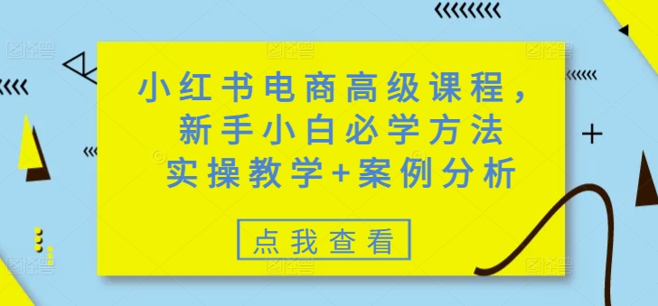 小红书电商高级课程，新手小白必学方法，实操教学+案例分析-超级阿童木