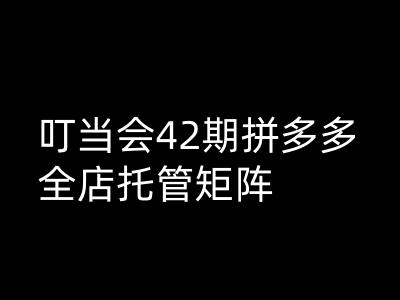 叮当会拼多多打爆班原创高阶技术第42期，拼多多全店托管矩阵-超级阿童木